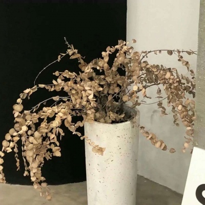 承德福瑞交流群